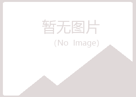 大新县忆翠金属有限公司